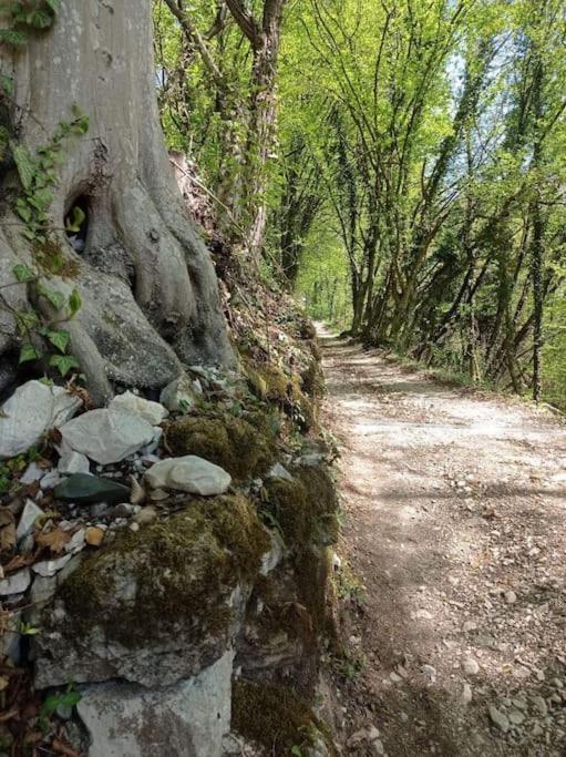 Casa Nella Natura Il Risveglio Degli Elfi เปดาเวนา ภายนอก รูปภาพ