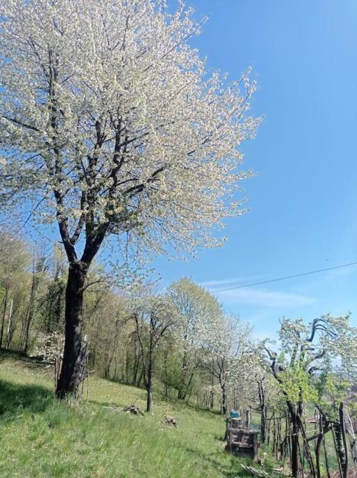 Casa Nella Natura Il Risveglio Degli Elfi เปดาเวนา ภายนอก รูปภาพ