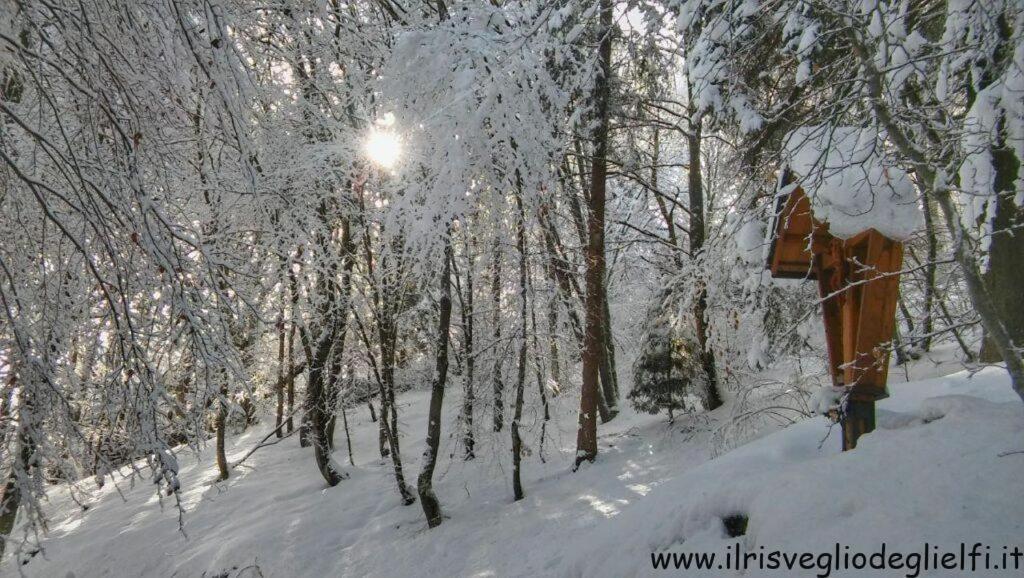 Casa Nella Natura Il Risveglio Degli Elfi เปดาเวนา ภายนอก รูปภาพ